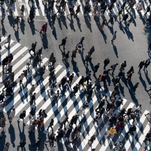 The Role of Trust in Japanese B2B Relationships: What Foreign Companies Must Understand